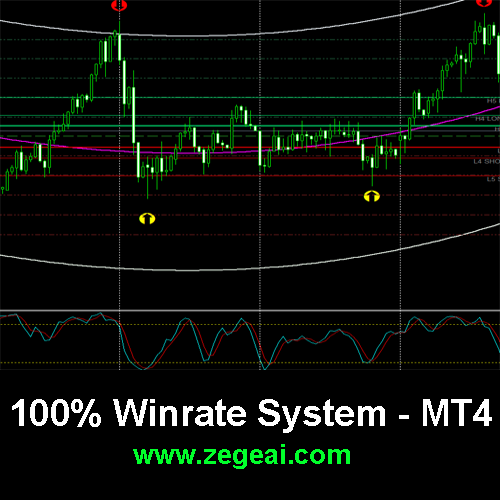 100% Winrate Forex Indicator System